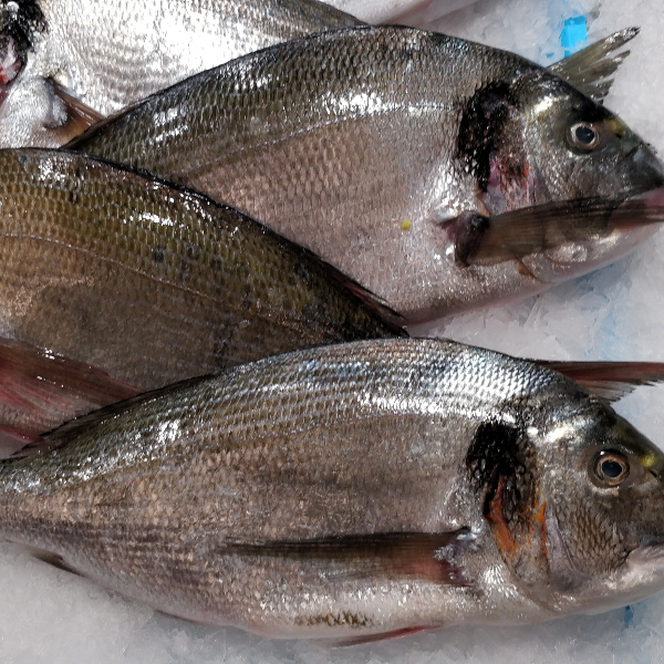 Poissonnerie